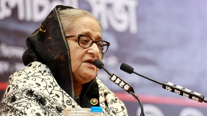 Khaleda Zia quit for vote-stealing